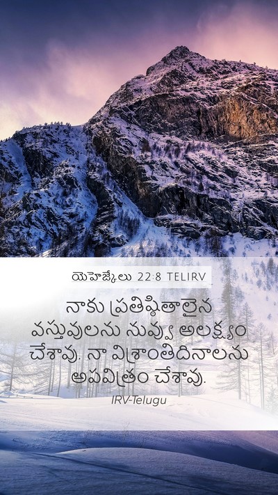 యెహెజ్కేలు 22:8 TELIRV Bible Verse Image