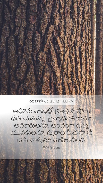 యెహెజ్కేలు 23:12 TELIRV Bible Verse Image