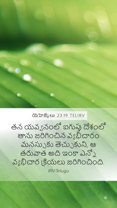యెహెజ్కేలు 23:19 TELIRV Bible Verse Image