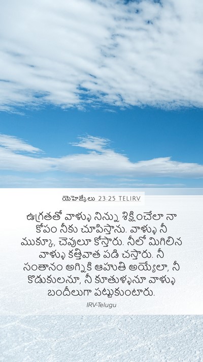యెహెజ్కేలు 23:25 TELIRV Bible Verse Image