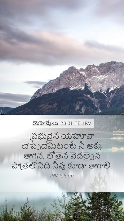 యెహెజ్కేలు 23:31 TELIRV Bible Verse Image
