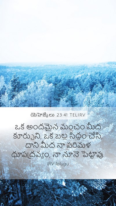 యెహెజ్కేలు 23:41 TELIRV Bible Verse Image