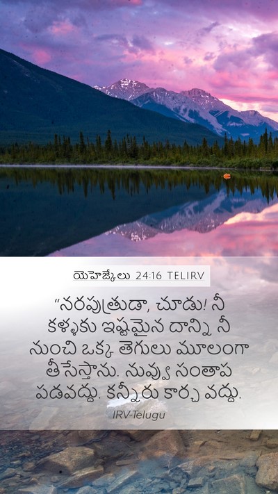 యెహెజ్కేలు 24:16 TELIRV Bible Verse Image