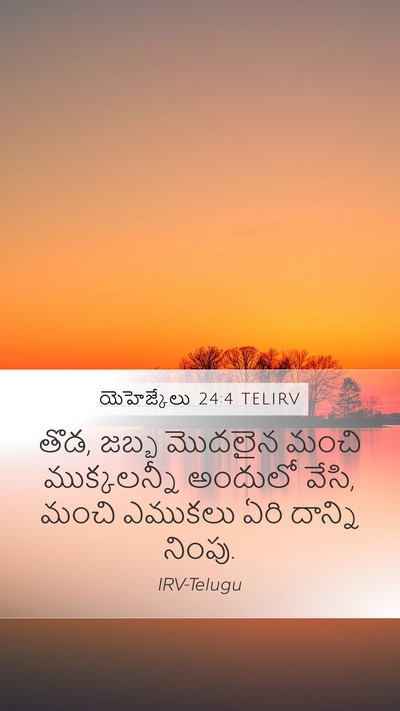 యెహెజ్కేలు 24:4 TELIRV Bible Verse Image