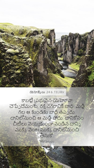 యెహెజ్కేలు 24:6 TELIRV Bible Verse Image