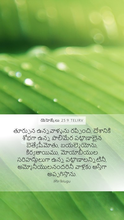 యెహెజ్కేలు 25:9 TELIRV Mobile Phone Wallpaper - తూర్పున - Mobile Bible Verse Wallpaper