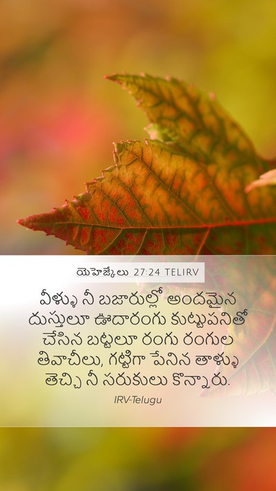యెహెజ్కేలు 27:24 TELIRV Bible Verse Image