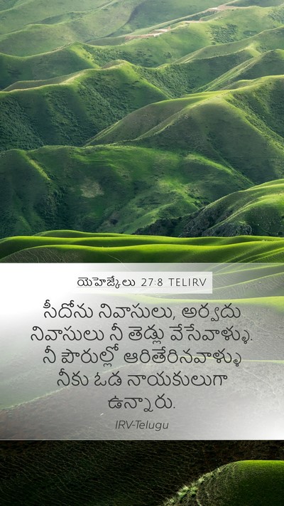 యెహెజ్కేలు 27:8 TELIRV Bible Verse Image