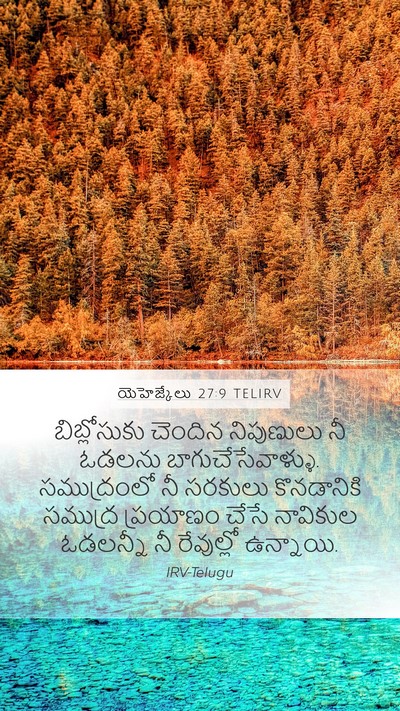 యెహెజ్కేలు 27:9 TELIRV Bible Verse Image