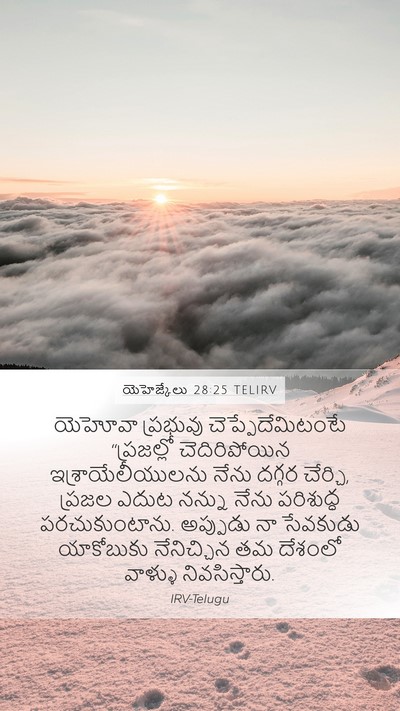 యెహెజ్కేలు 28:25 TELIRV Bible Verse Image
