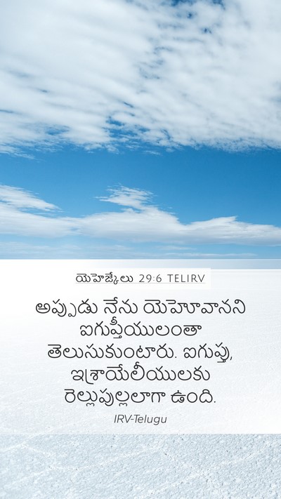 యెహెజ్కేలు 29:6 TELIRV Bible Verse Image