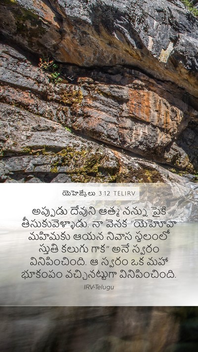 యెహెజ్కేలు 3:12 TELIRV Bible Verse Image