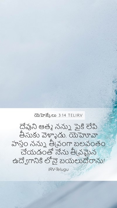 యెహెజ్కేలు 3:14 TELIRV Bible Verse Image