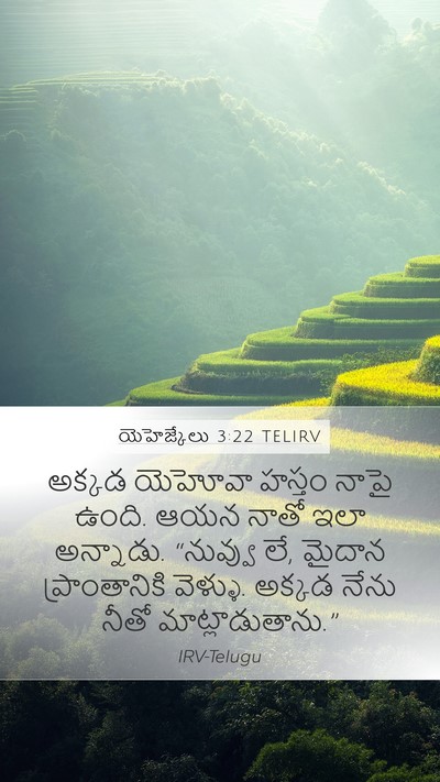 యెహెజ్కేలు 3:22 TELIRV Bible Verse Image