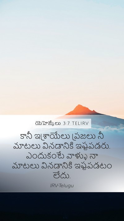 యెహెజ్కేలు 3:7 TELIRV Bible Verse Image