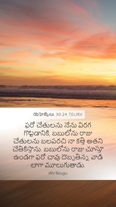 యెహెజ్కేలు 30:24 TELIRV Bible Verse Image