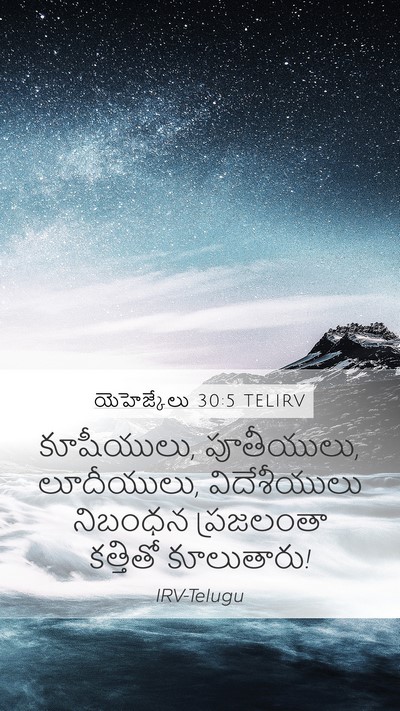 యెహెజ్కేలు 30:5 TELIRV Bible Verse Image