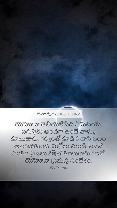 యెహెజ్కేలు 30:6 TELIRV Bible Verse Image