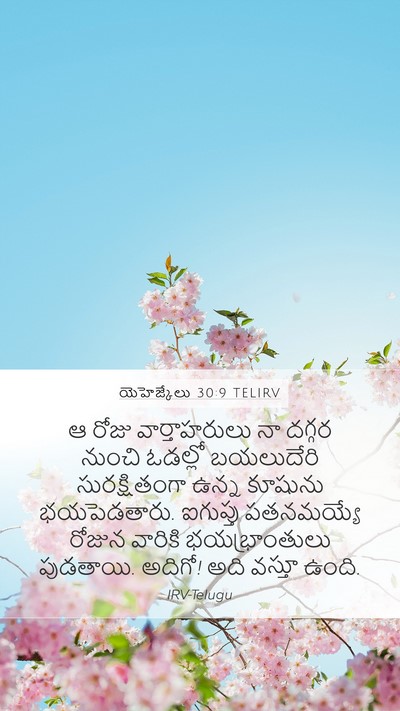యెహెజ్కేలు 30:9 TELIRV Bible Verse Image