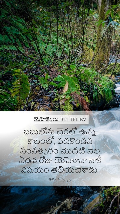యెహెజ్కేలు 31:1 TELIRV Bible Verse Image