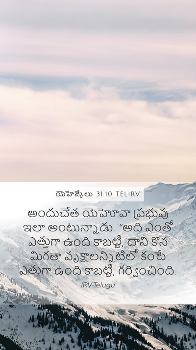 యెహెజ్కేలు 31:10 TELIRV Mobile Phone Wallpaper - అందుచేత యెహోవా - Mobile Bible Verse Wallpaper