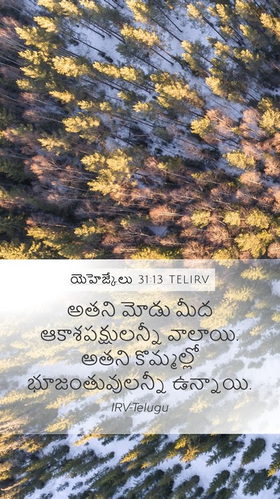 యెహెజ్కేలు 31:13 TELIRV Mobile Phone Wallpaper - అతని మోడు మీద - Mobile Bible Verse Wallpaper