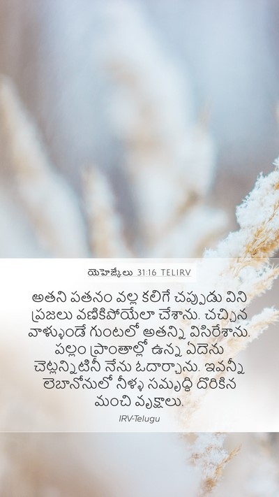 యెహెజ్కేలు 31:16 TELIRV Bible Verse Image