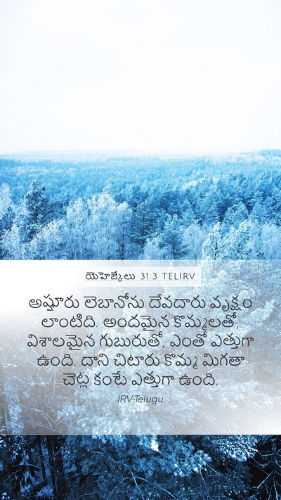 యెహెజ్కేలు 31:3 TELIRV Bible Verse Image
