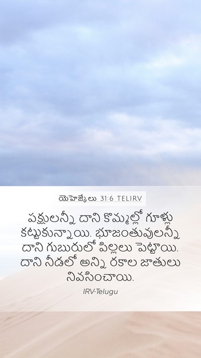 యెహెజ్కేలు 31:6 TELIRV Bible Verse Image