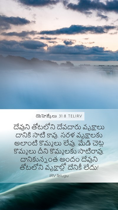 యెహెజ్కేలు 31:8 TELIRV Bible Verse Image