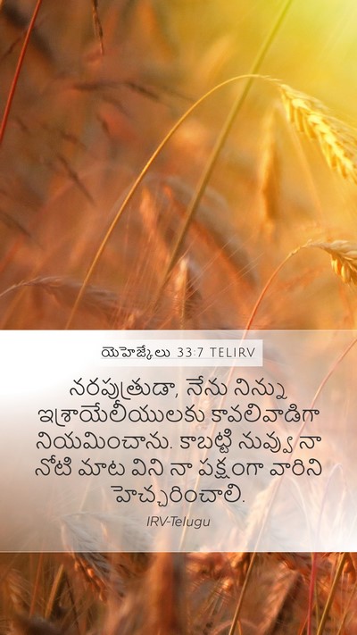 యెహెజ్కేలు 33:7 TELIRV Bible Verse Image