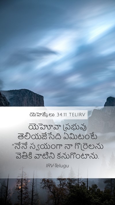 యెహెజ్కేలు 34:11 TELIRV Bible Verse Image