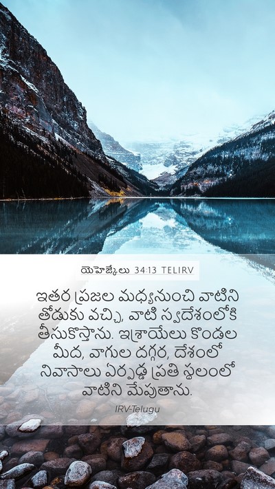 యెహెజ్కేలు 34:13 TELIRV Bible Verse Image