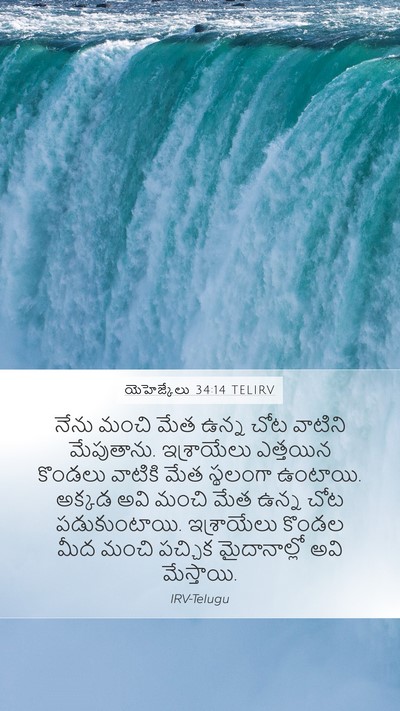 యెహెజ్కేలు 34:14 TELIRV Bible Verse Image