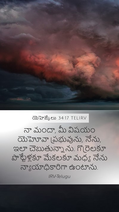 యెహెజ్కేలు 34:17 TELIRV Bible Verse Image