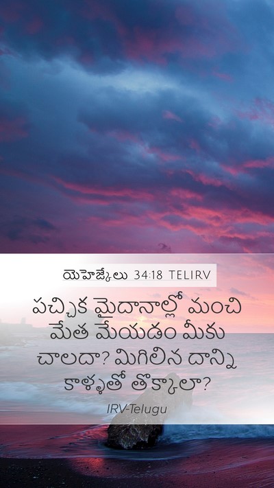 యెహెజ్కేలు 34:18 TELIRV Mobile Phone Wallpaper - పచ్చిక మైదానాల్లో - Mobile Bible Verse Wallpaper