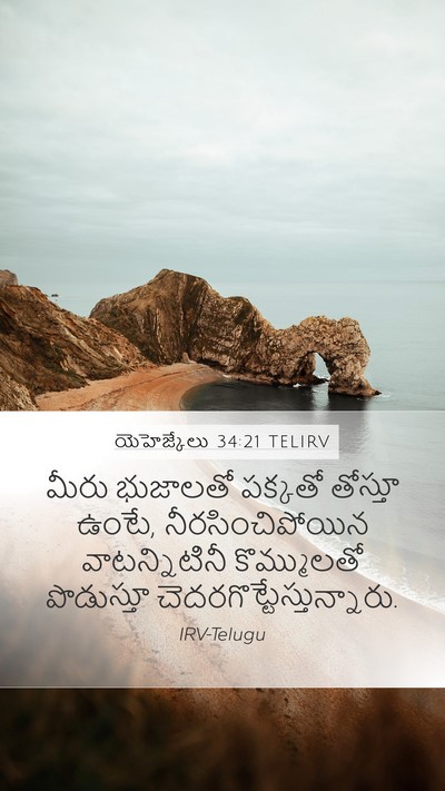 యెహెజ్కేలు 34:21 TELIRV Bible Verse Image
