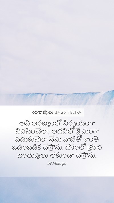 యెహెజ్కేలు 34:25 TELIRV Bible Verse Image