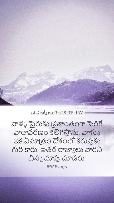 యెహెజ్కేలు 34:29 TELIRV Bible Verse Image
