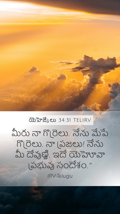 యెహెజ్కేలు 34:31 TELIRV Bible Verse Image