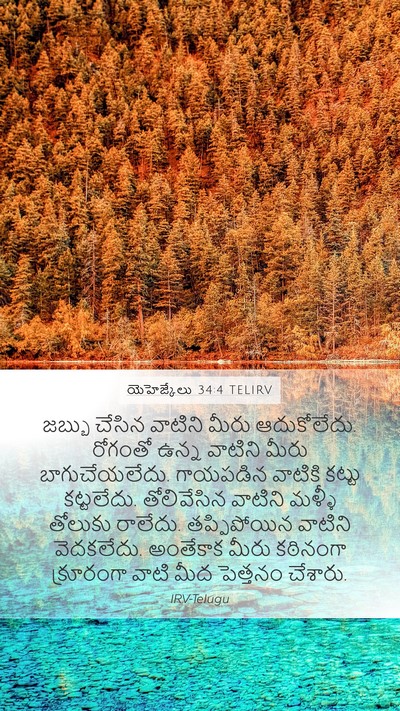 యెహెజ్కేలు 34:4 TELIRV Mobile Phone Wallpaper - జబ్బు చేసిన - Mobile Bible Verse Wallpaper