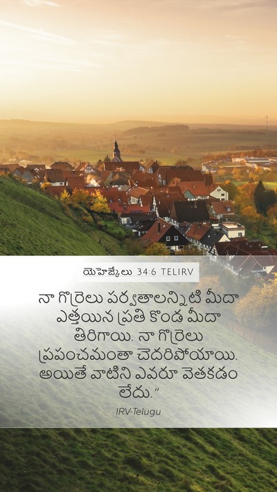 యెహెజ్కేలు 34:6 TELIRV Bible Verse Image