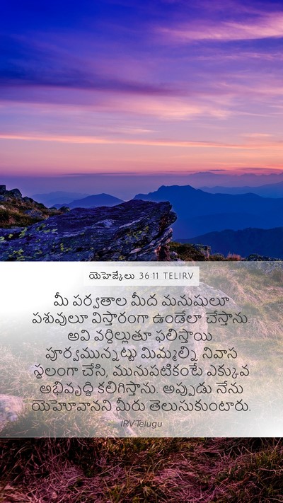 యెహెజ్కేలు 36:11 TELIRV Bible Verse Image