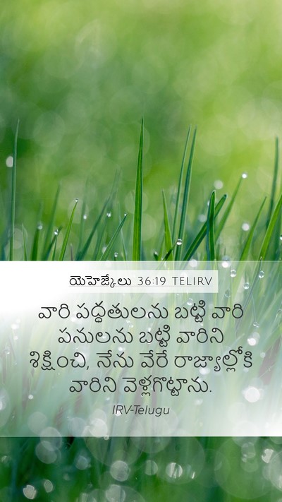 యెహెజ్కేలు 36:19 TELIRV Mobile Phone Wallpaper - వారి పద్ధతులను - Mobile Bible Verse Wallpaper