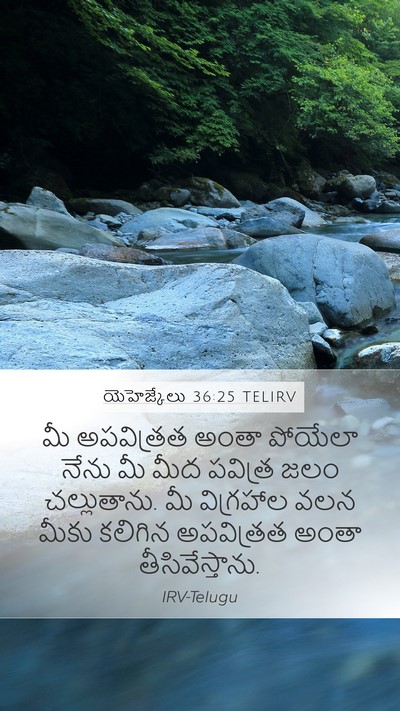 యెహెజ్కేలు 36:25 TELIRV Bible Verse Image