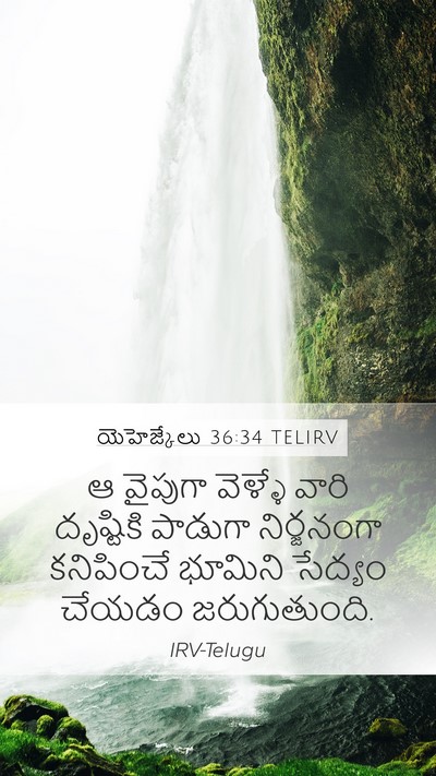 యెహెజ్కేలు 36:34 TELIRV Mobile Phone Wallpaper - ఆ వైపుగా వెళ్ళే - Mobile Bible Verse Wallpaper