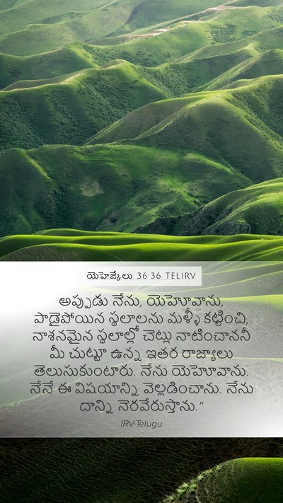 యెహెజ్కేలు 36:36 TELIRV Bible Verse Image