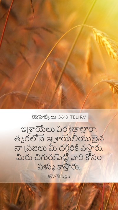 యెహెజ్కేలు 36:8 TELIRV Bible Verse Image