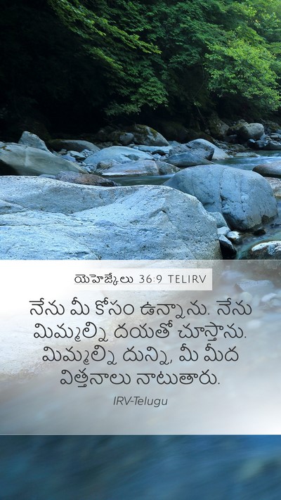 యెహెజ్కేలు 36:9 TELIRV Bible Verse Image