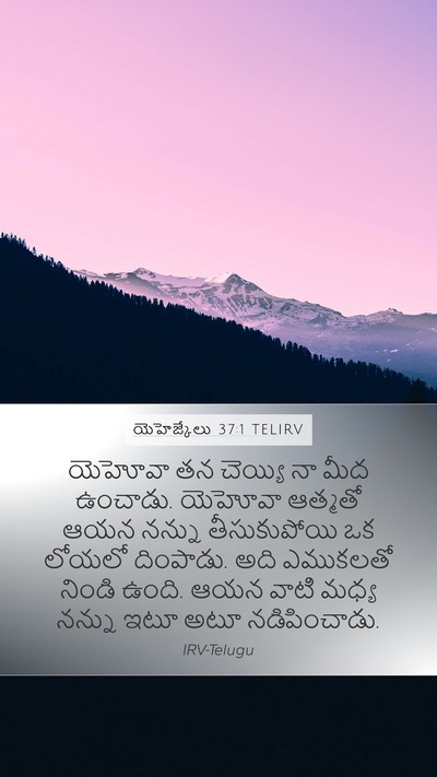 యెహెజ్కేలు 37:1 TELIRV Bible Verse Image